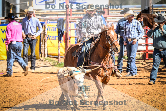 _JDZ9906-03-25-2022_Huntsville rodeo_Steer Tripping_JoeDuty-01061