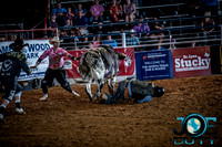 10-225231-2020 North Texas Fair and rodeo denton bulls first perfeqn}
