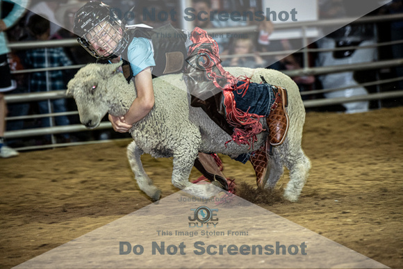 10-204902-2020 North Texas Fair and rodeo denton muttin bustingseqn}