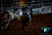 10-215822-2020 North Texas Fair and rodeo under 21 2nd perf lisafeqn}