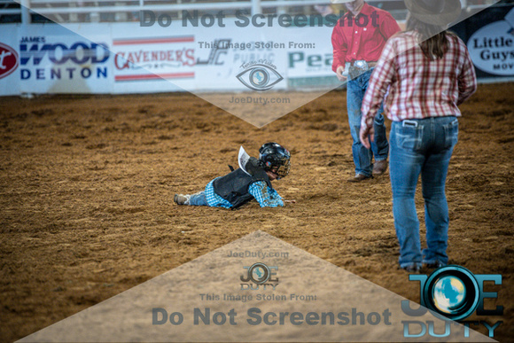 10-225507-2020 North Texas Fair and rodeo denton bulls first perfeqn}