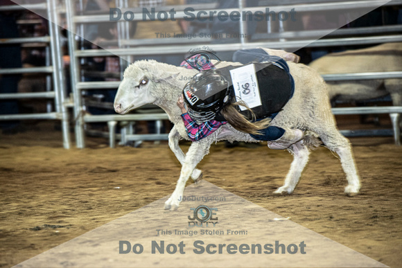 10-204811-2020 North Texas Fair and rodeo denton muttin bustingseqn}