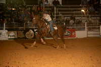 10-163931-2020 North Texas Fair and rodeo denton seqn}