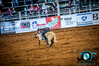 10-225514-2020 North Texas Fair and rodeo denton bulls first perfeqn}