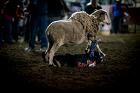 _DSC5384Elks Rodeo Santa Maria _Lisa Duty-06734