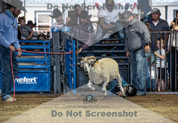 10-204805-2020 North Texas Fair and rodeo denton muttin bustingseqn}