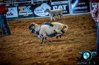 10-225494-2020 North Texas Fair and rodeo denton bulls first perfeqn}