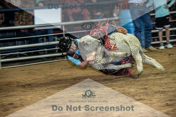 10-204904-2020 North Texas Fair and rodeo denton muttin bustingseqn}