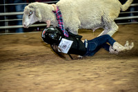 10-204813-2020 North Texas Fair and rodeo denton muttin bustingseqn}