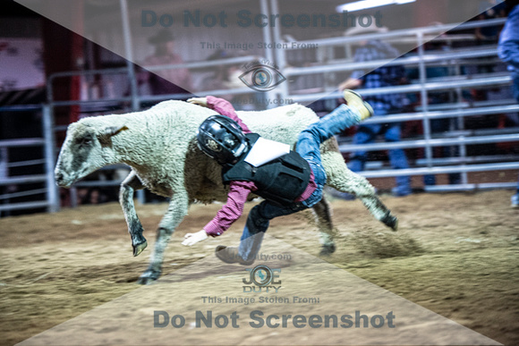 10-205068-2020 North Texas Fair and rodeo denton muttin bustingseqn}