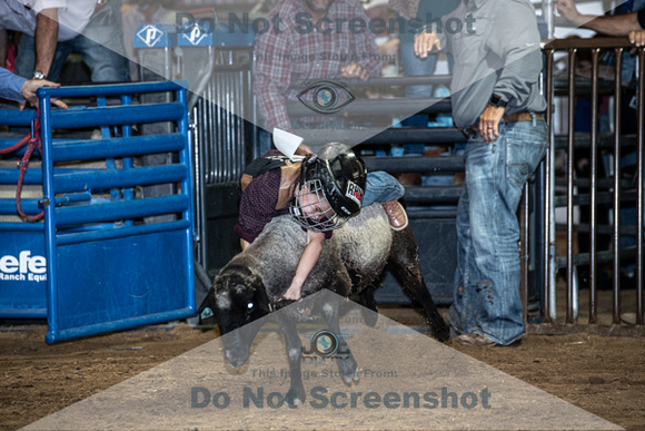10-204860-2020 North Texas Fair and rodeo denton muttin bustingseqn}