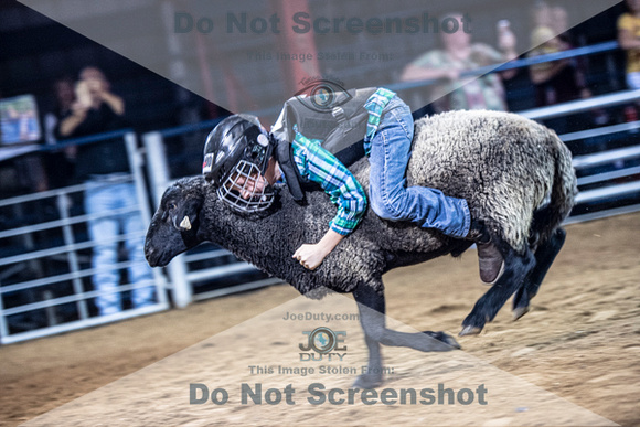 10-205017-2020 North Texas Fair and rodeo denton muttin bustingseqn}