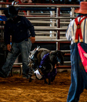 10-22-2020-North Texas Fair Rodeo-Bulls Perf1-Lisa7904