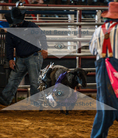 10-22-2020-North Texas Fair Rodeo-Bulls Perf1-Lisa7904