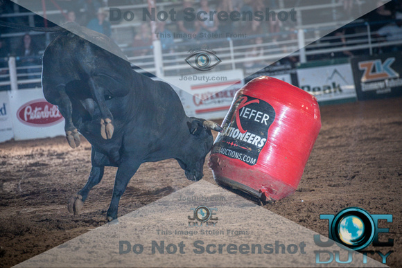 10-225375-2020 North Texas Fair and rodeo denton bulls first perfeqn}