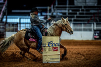 North Texas Fair and rodeo denton3414