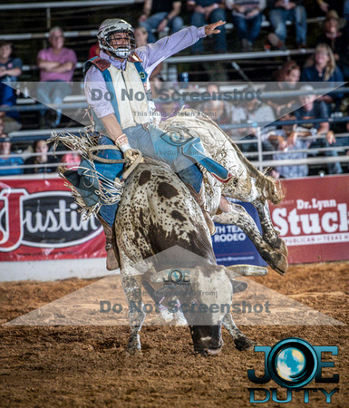10-225312-2020 North Texas Fair and rodeo denton bulls first perfeqn}