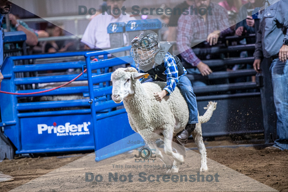 10-204942-2020 North Texas Fair and rodeo denton muttin bustingseqn}