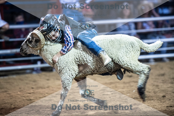 10-204967-2020 North Texas Fair and rodeo denton muttin bustingseqn}