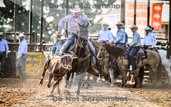 6-10-2021_PCSP rodeo_weatherford, Texass_Slack Steer Tripping_Pete Carr Rodeo_Joe Duty8096