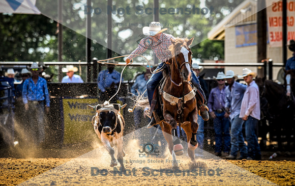 6-10-2021_PCSP rodeo_weatherford, Texass_Slack Steer Tripping_Pete Carr Rodeo_Joe Duty8564