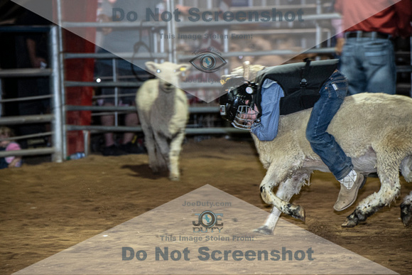 10-204916-2020 North Texas Fair and rodeo denton muttin bustingseqn}