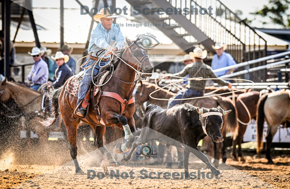 6-10-2021_PCSP rodeo_weatherford, Texass_Slack Steer Tripping_Pete Carr Rodeo_Joe Duty8382