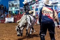 _JOE6802.NEF_8-26-2022_North Texas State Fair Rodeo_Bulls_Perf 2_Lisa Duty8392