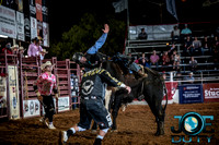 10-225180-2020 North Texas Fair and rodeo denton bulls first perfeqn}