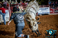 10-225286-2020 North Texas Fair and rodeo denton bulls first perfeqn}