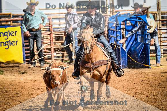 _JDZ0102-03-25-2022_Huntsville rodeo_Steer Tripping_JoeDuty-01276