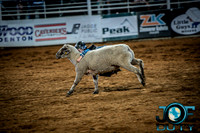 10-225501-2020 North Texas Fair and rodeo denton bulls first perfeqn}