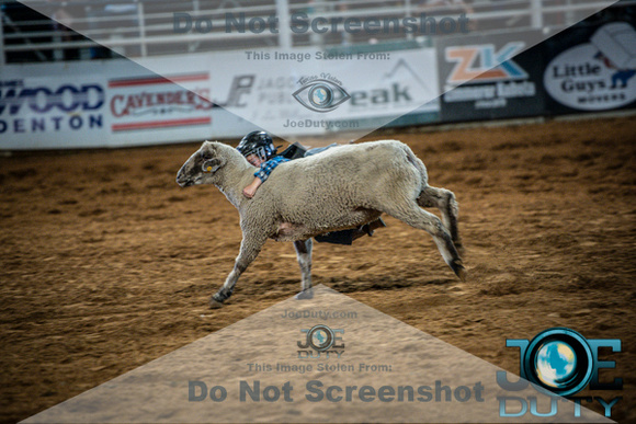 10-225501-2020 North Texas Fair and rodeo denton bulls first perfeqn}