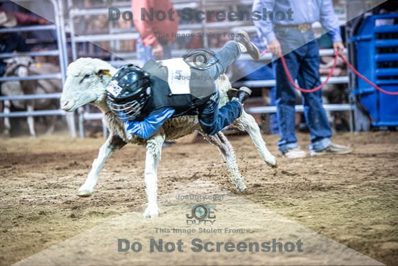 10-204934-2020 North Texas Fair and rodeo denton muttin bustingseqn}