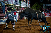 10-225192-2020 North Texas Fair and rodeo denton bulls first perfeqn}