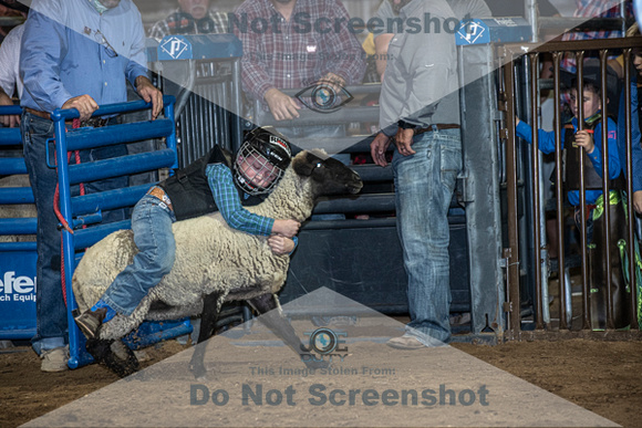 10-204920-2020 North Texas Fair and rodeo denton muttin bustingseqn}