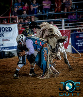 10-225315-2020 North Texas Fair and rodeo denton bulls first perfeqn}