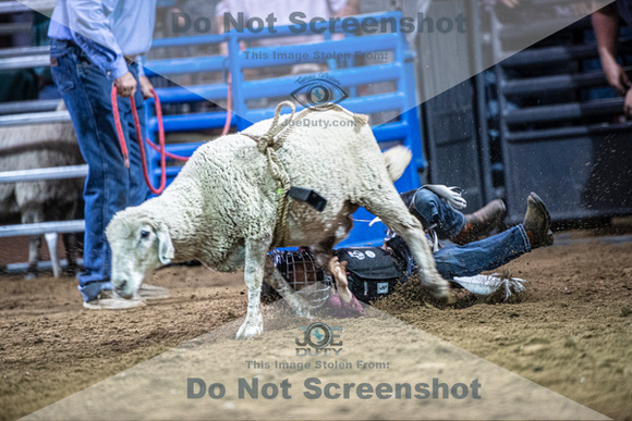 10-204998-2020 North Texas Fair and rodeo denton muttin bustingseqn}