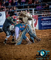 10-225314-2020 North Texas Fair and rodeo denton bulls first perfeqn}