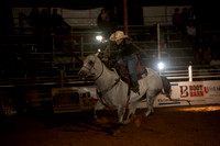 10-163924-2020 North Texas Fair and rodeo denton seqn}