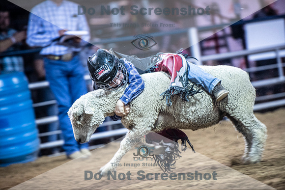 10-205030-2020 North Texas Fair and rodeo denton muttin bustingseqn}