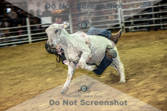 10-204818-2020 North Texas Fair and rodeo denton muttin bustingseqn}
