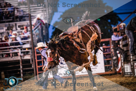 Weatherford rodeo 7-09-2020 perf2792