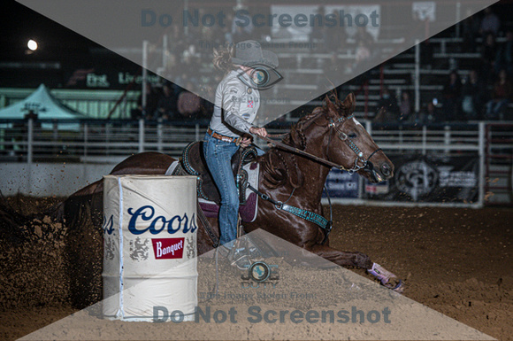 10-163930-2020 North Texas Fair and rodeo denton seqn}
