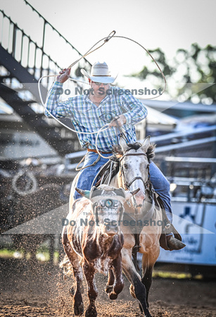 6-10-2021_PCSP rodeo_weatherford, Texass_Slack Steer Tripping_Pete Carr Rodeo_Joe Duty7912