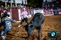 10-225300-2020 North Texas Fair and rodeo denton bulls first perfeqn}