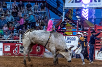 _JOE6759.NEF_8-26-2022_North Texas State Fair Rodeo_Bulls_Perf 2_Lisa Duty8349