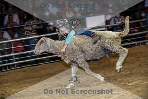 10-204852-2020 North Texas Fair and rodeo denton muttin bustingseqn}