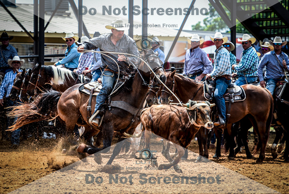 6-10-2021_PCSP rodeo_weatherford, Texass_Slack Steer Tripping_Pete Carr Rodeo_Joe Duty7623