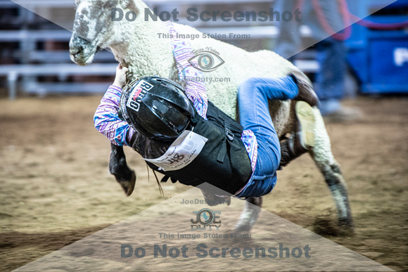10-204955-2020 North Texas Fair and rodeo denton muttin bustingseqn}
